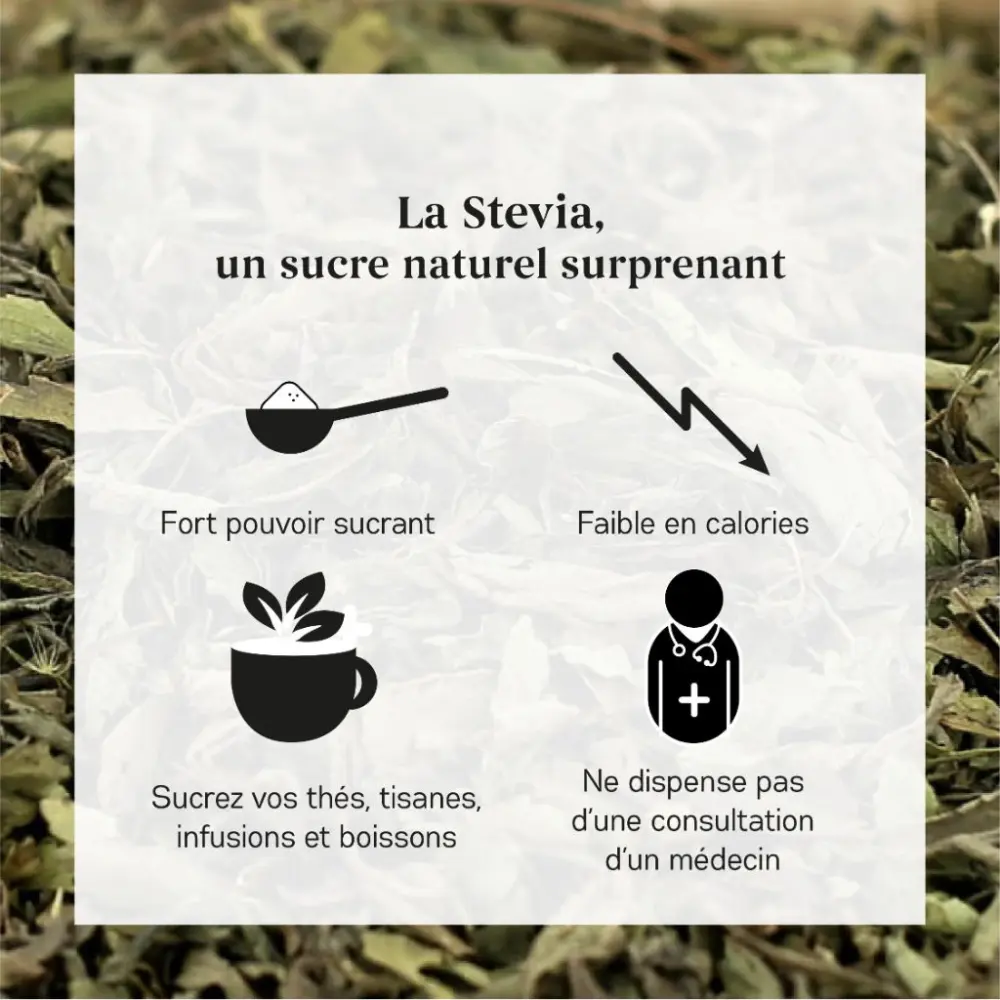 Stevia Bio — My Organic Infusion