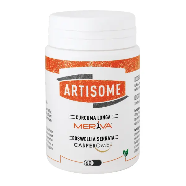 ARTISOME