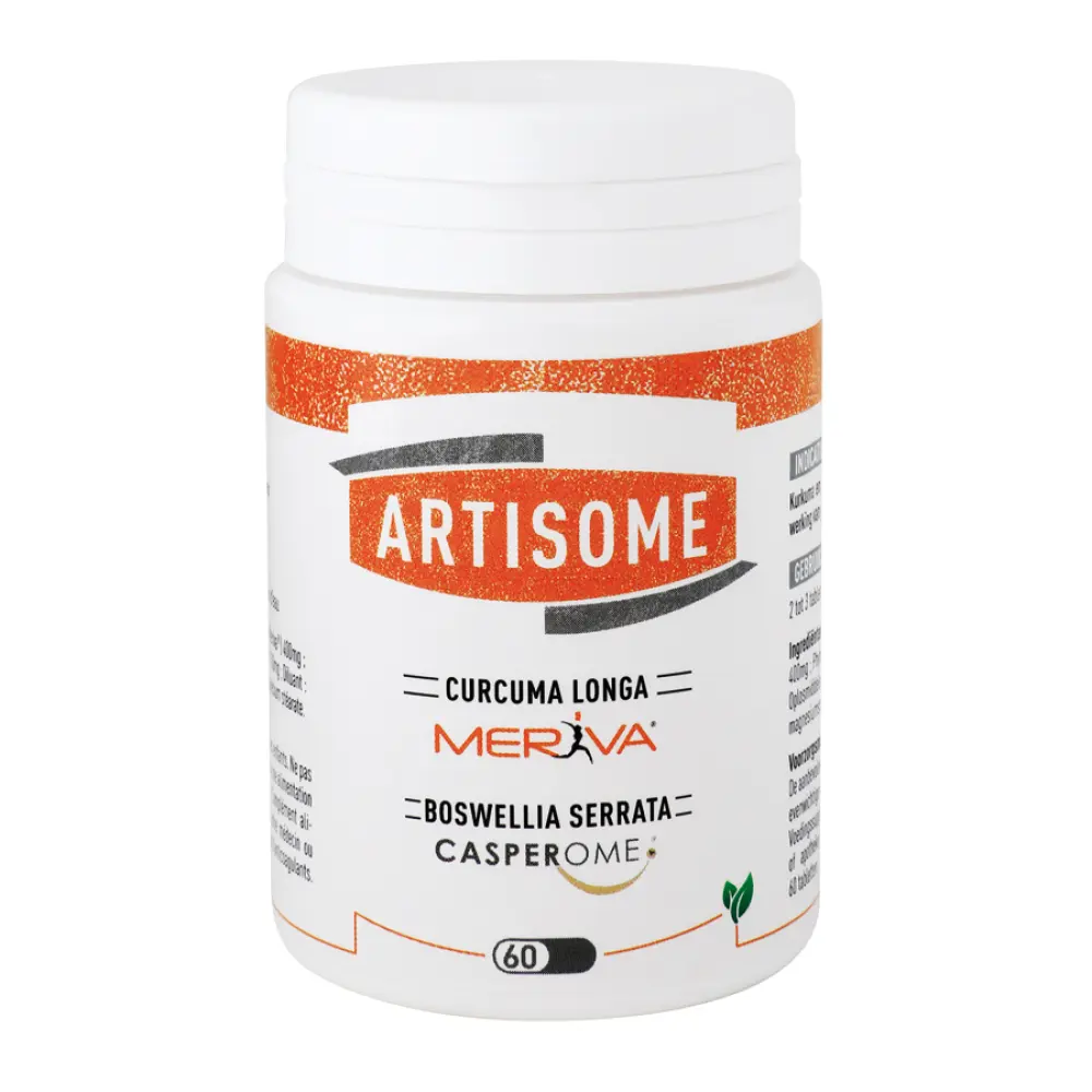 ARTISOME — Dynarop