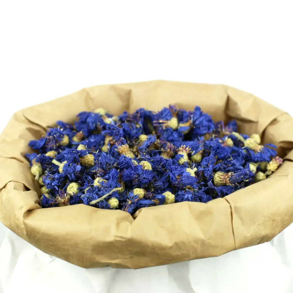 Bio-Kornblume — My Organic Infusion