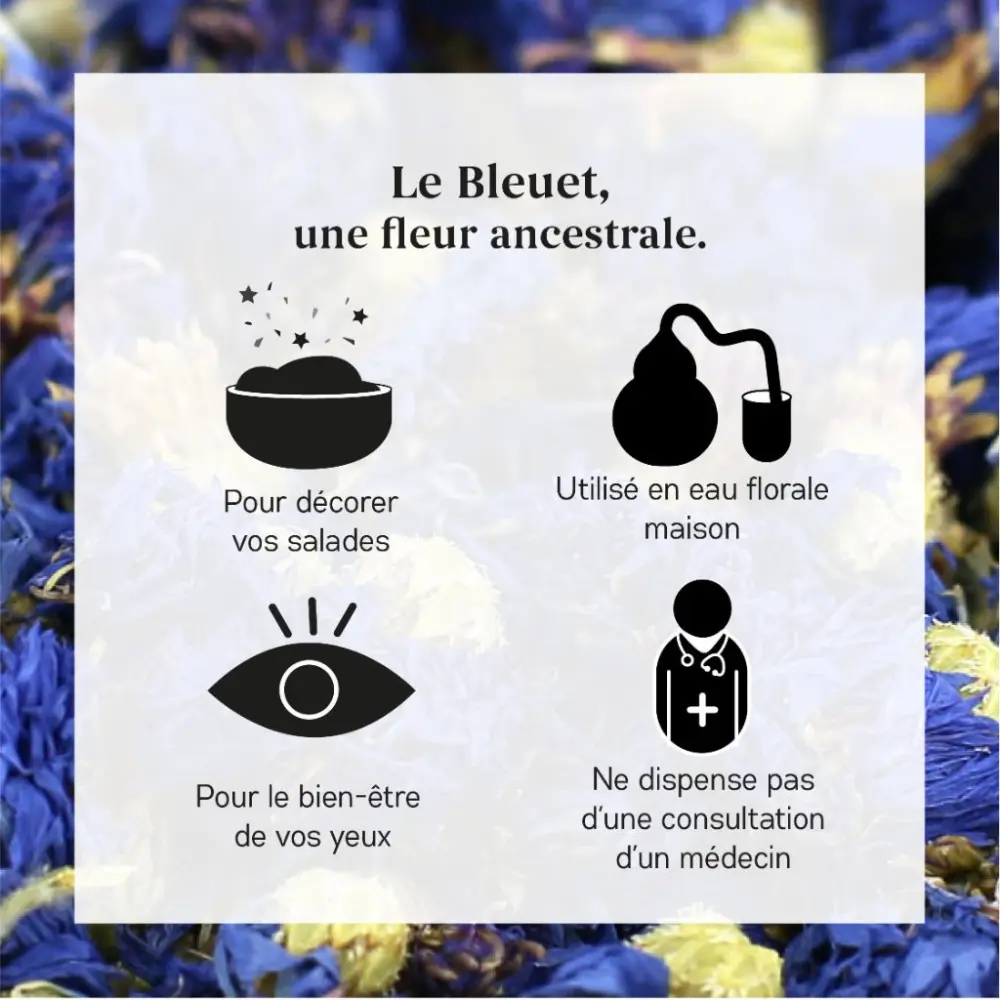 Bio-Kornblume — My Organic Infusion
