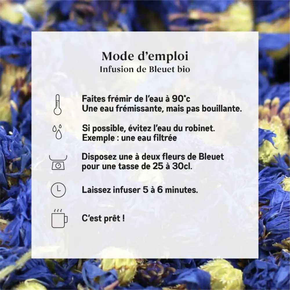 Bio-Kornblume — My Organic Infusion