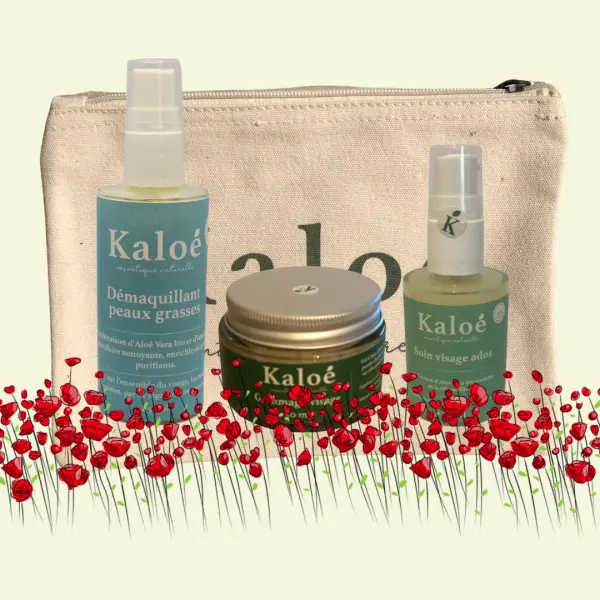 Routine visage 3 produits ados - Soin visage ados 30 ml + Démaquillant peaux grasses 50 ml + Gommage visage 50 ml + Trousse M