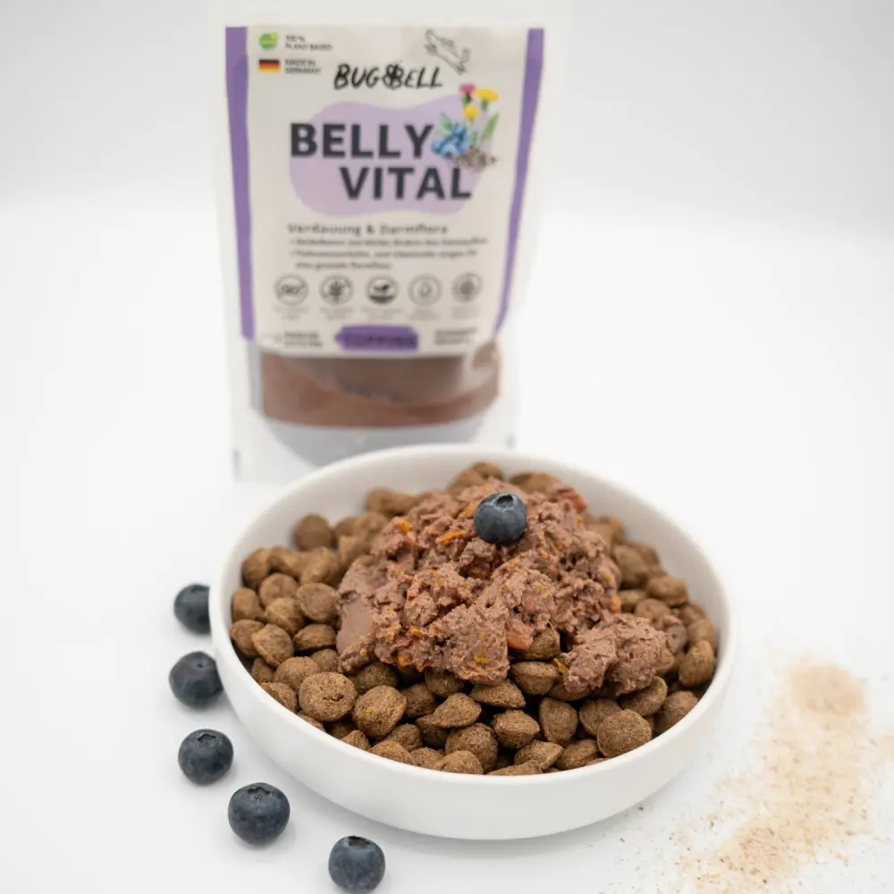 BellyVital Topping - Verdauung & Darmflora — BugBell