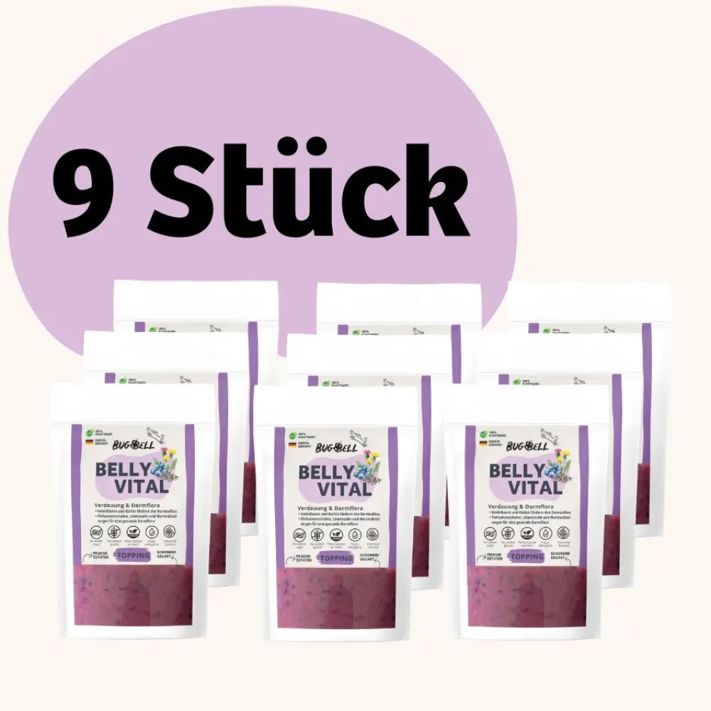 BellyVital Topping - Verdauung & Darmflora — BugBell