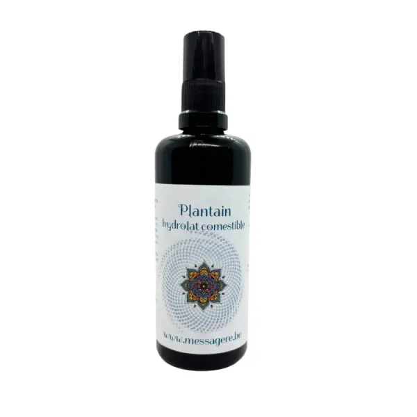 Hydrolat de Plantain