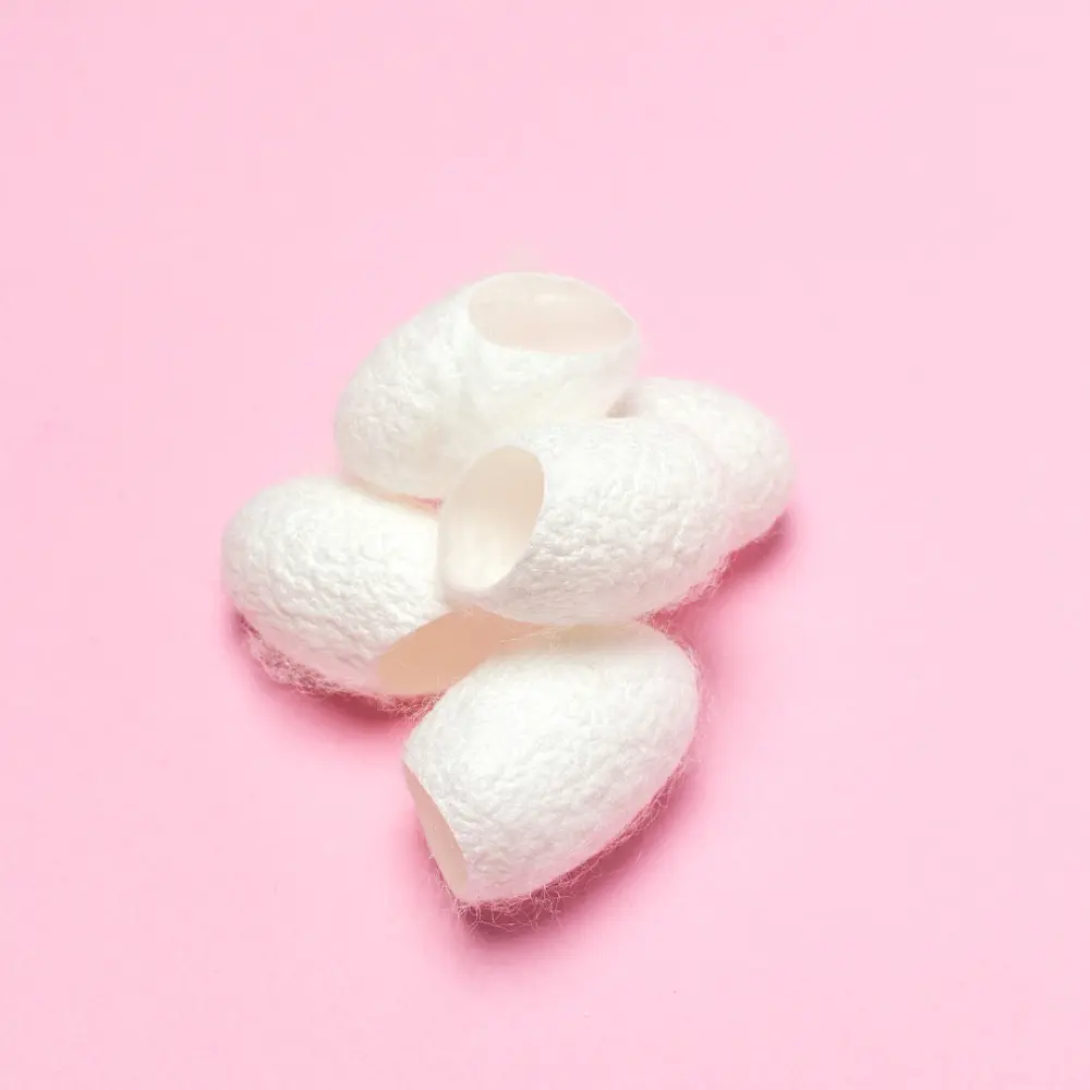 Cocons de soie exfoliant visage — Silkme
