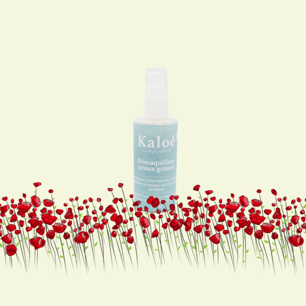Démaquillant peaux grasses — Kaloé