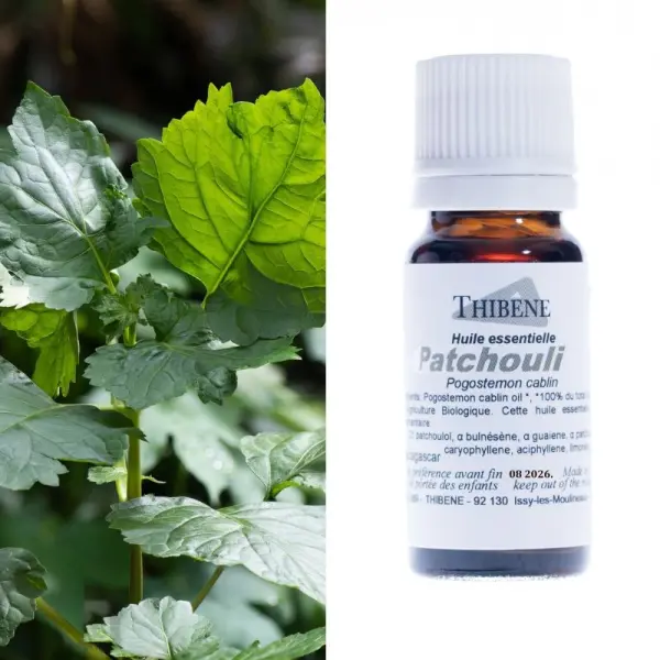 Patchouli