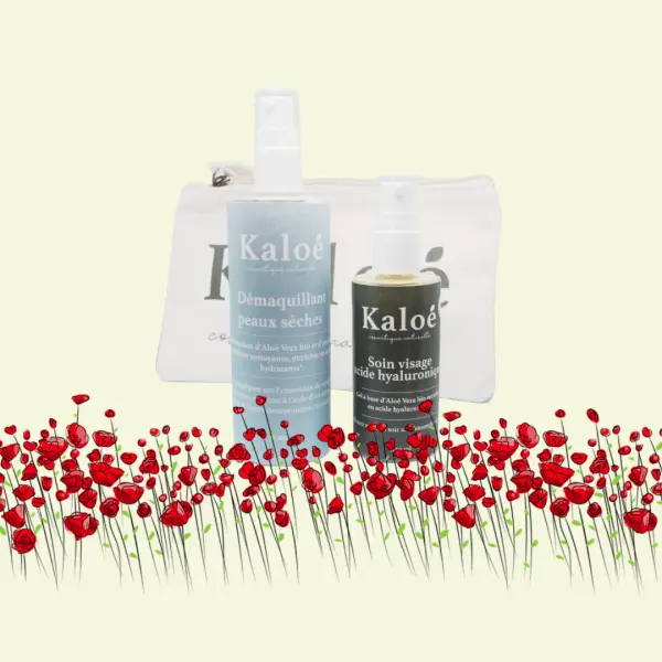 Routine visage 2 produits acide hyaluronique - Soin visage acide hyaluronique 50 ml + Démaquillant peaux sèches 100 ml + Trousse S