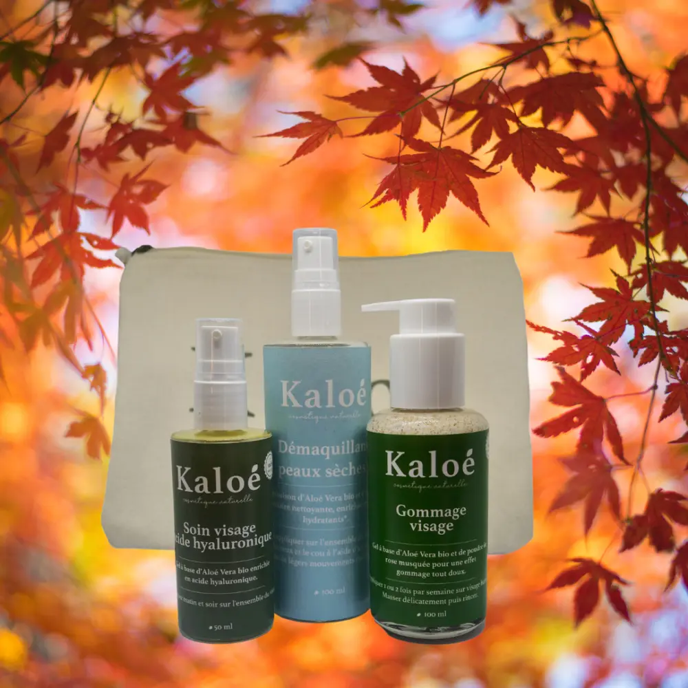 Gesichtspflege Hyaluronsäure + Make-up-Entferner trockene Haut + Gesichtspeeling + Kosmetiktasche M — Kaloé