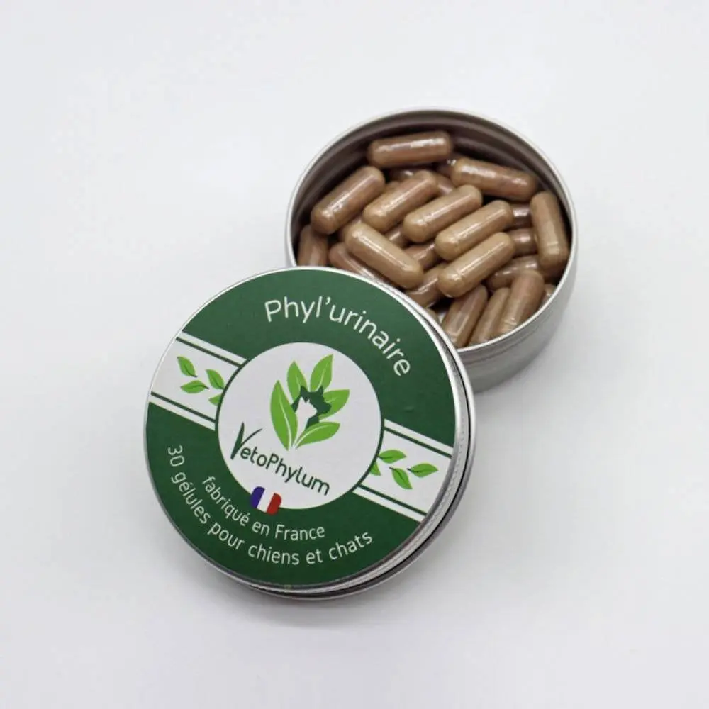 Phyl'urinaire - Fonction Urinaire — Vetophylum