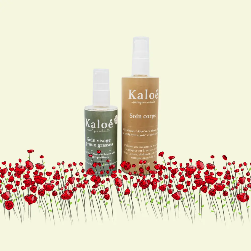 Routine visage et corps peaux grasses - Soin visage peaux grasses 50 ml + Soin corps 100 ml — Kaloé