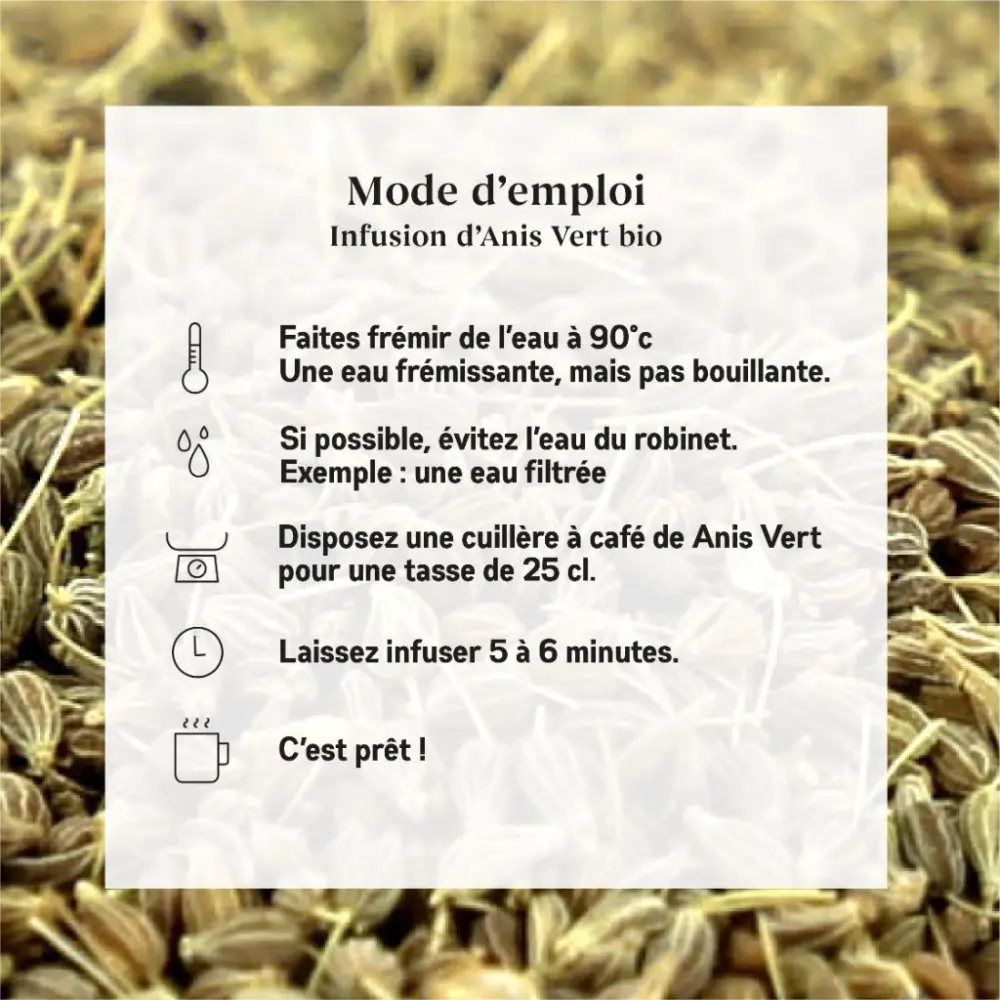 Grüner Anis Bio — My Organic Infusion