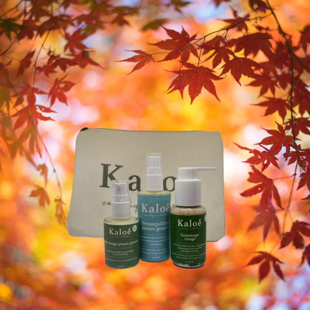 Routine visage 3 produits peaux grasses - Soin visage peaux grasses 30 ml + Démaquillant peaux grasses 50 ml + Gommage visage 50 ml + Trousse M — Kaloé