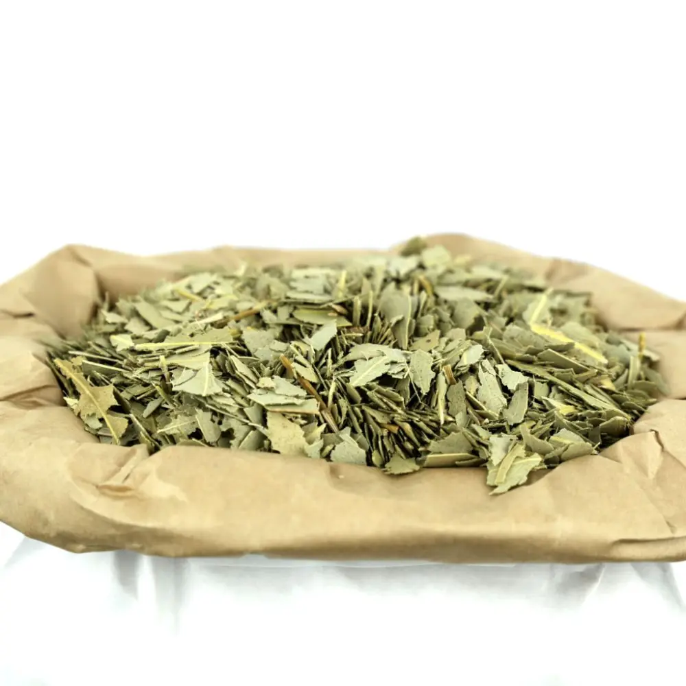 Eukalyptus Bio — My Organic Infusion