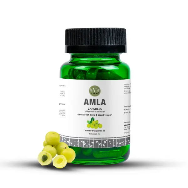 Amla-Kapseln - Indische Stachelbeere reich an Vitamin C