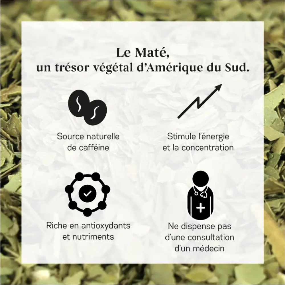 Mate Bio — My Organic Infusion