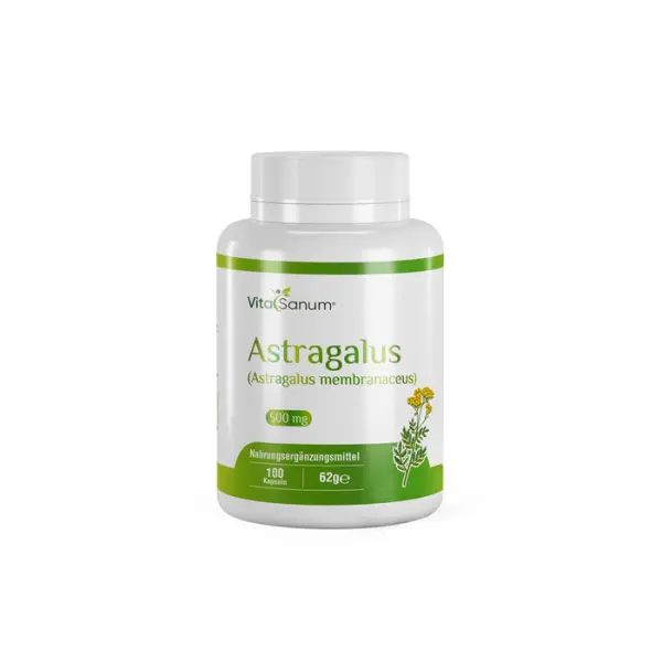 Astragalus 1000 mg – 100 vegane Kapseln