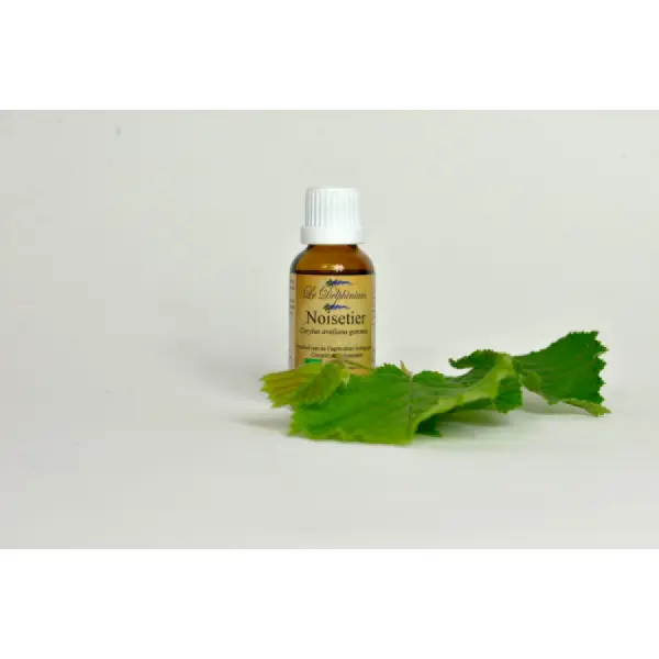 Bourgeon de Noisetier Bio