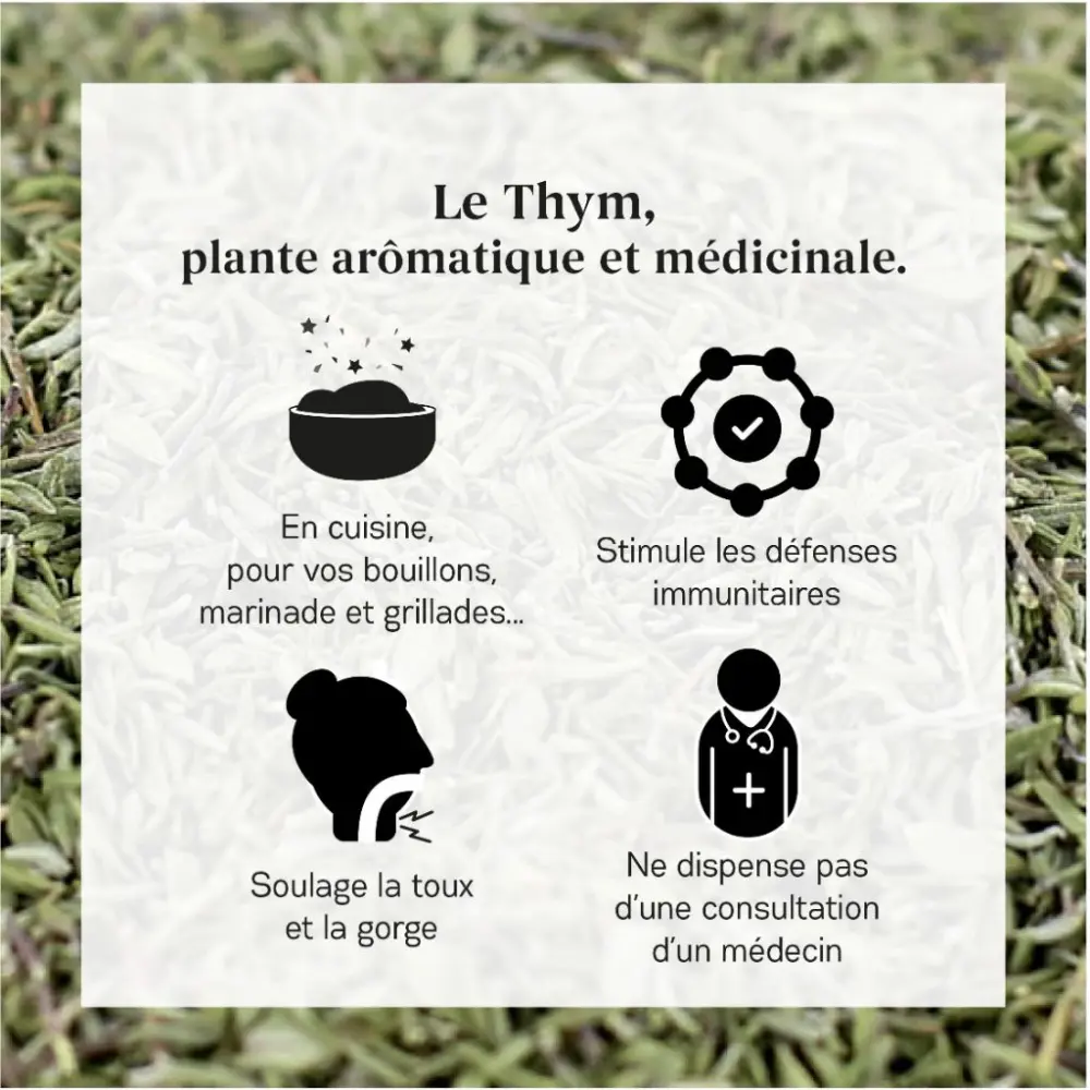 Bio-Thymian — My Organic Infusion