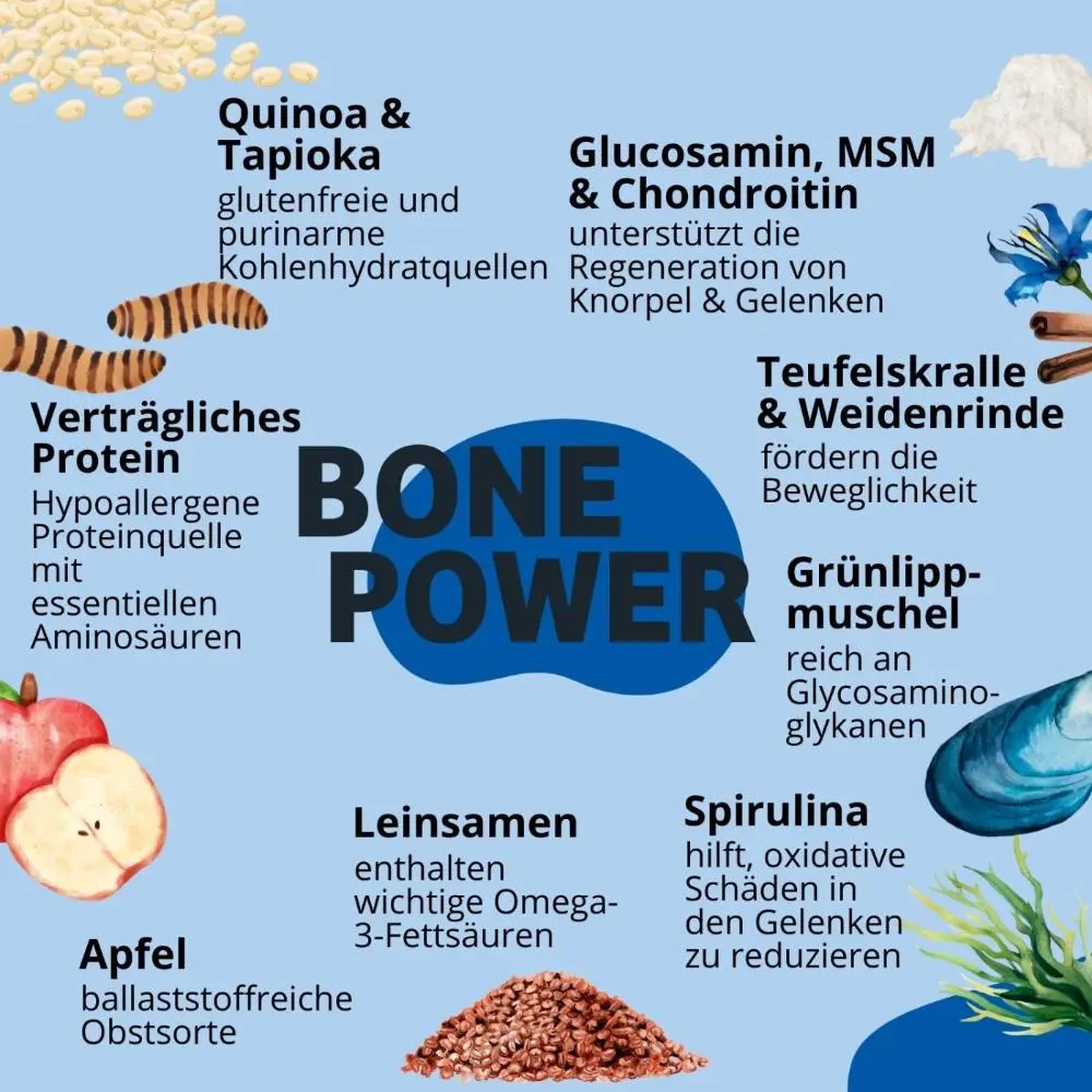 Softie BonePower - Knochen & Gelenke — BugBell