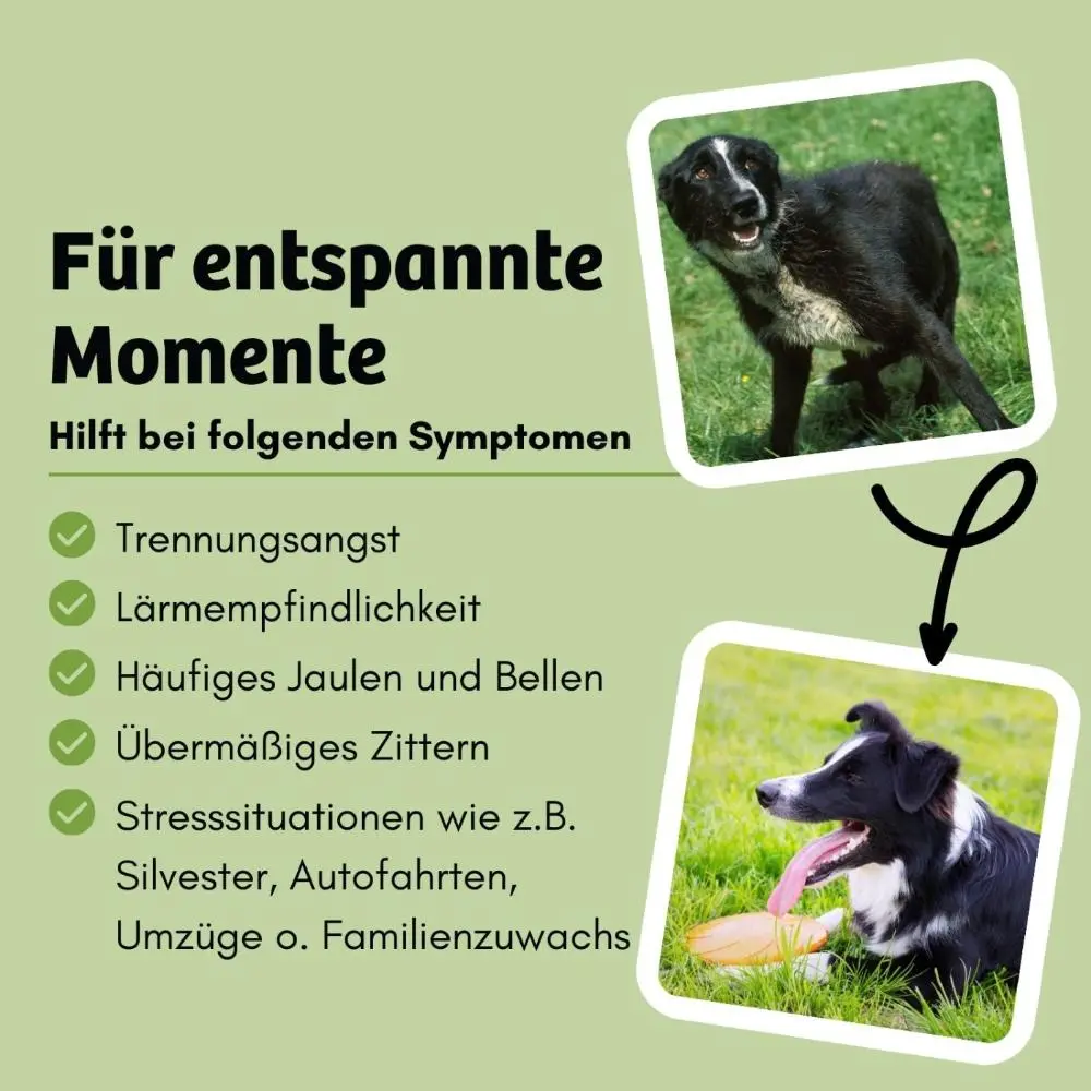 Trockenfutter MagicRelax - Angst & Nervosität — BugBell