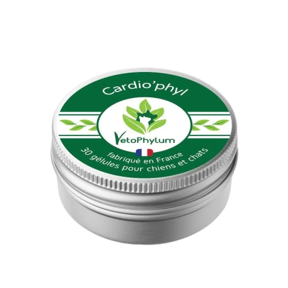 Cardio'Phyl - Système Cardiaque — Vetophylum