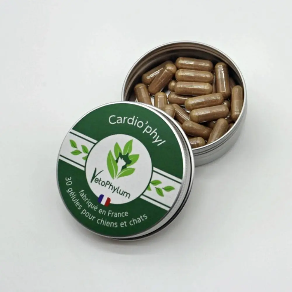 Cardio'Phyl - Système Cardiaque — Vetophylum