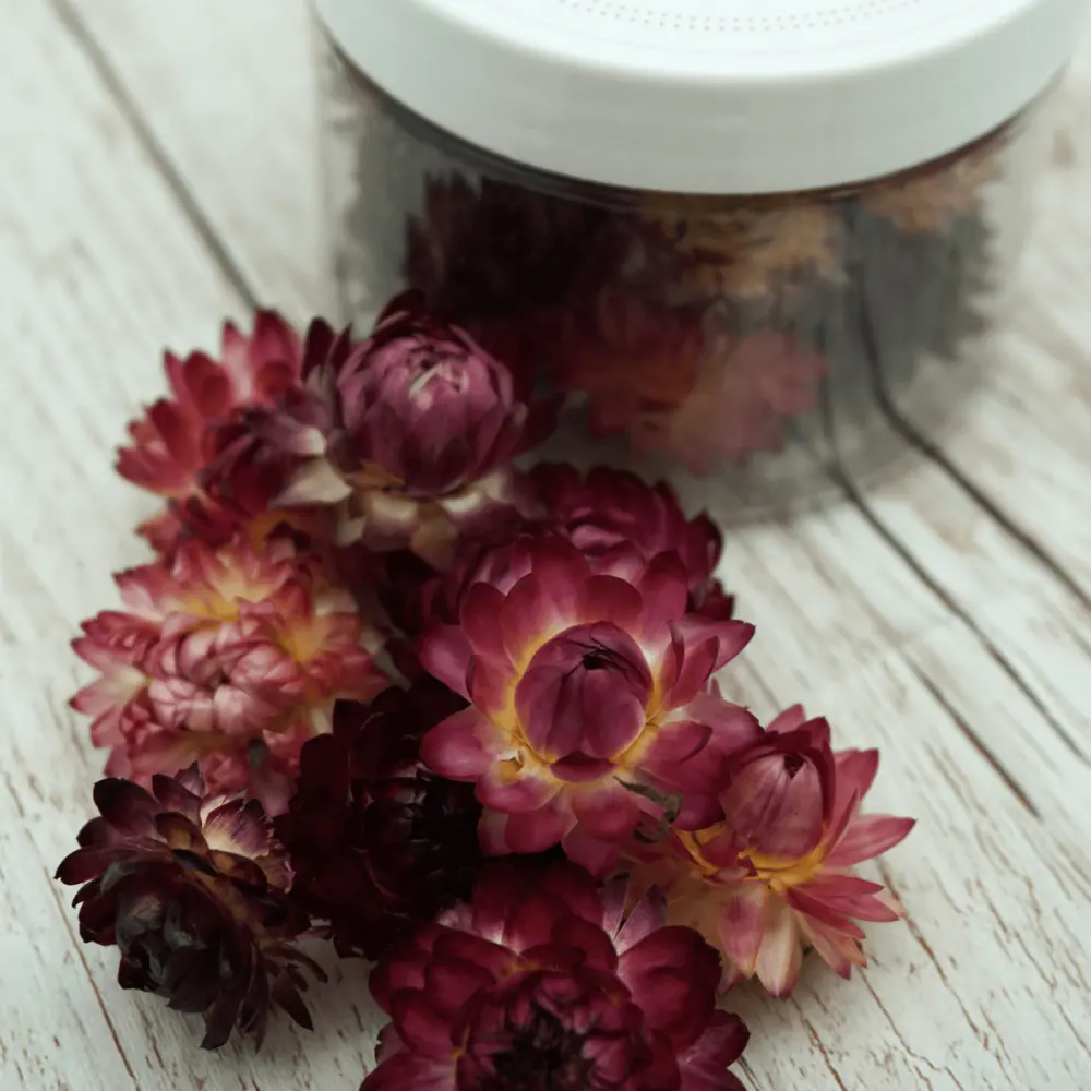 Strohblumen - Lavendel — ROSIE ROSE