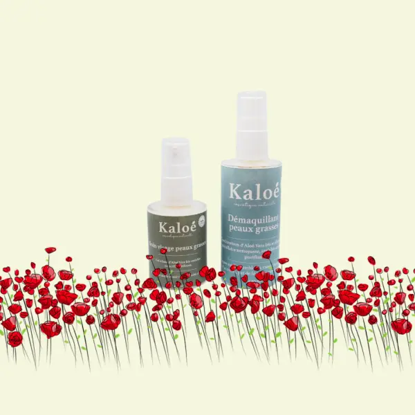 Routine visage 2 produits peaux grasses - Soin visage peaux grasses 30 ml + Démaquillant peaux grasses 50 ml