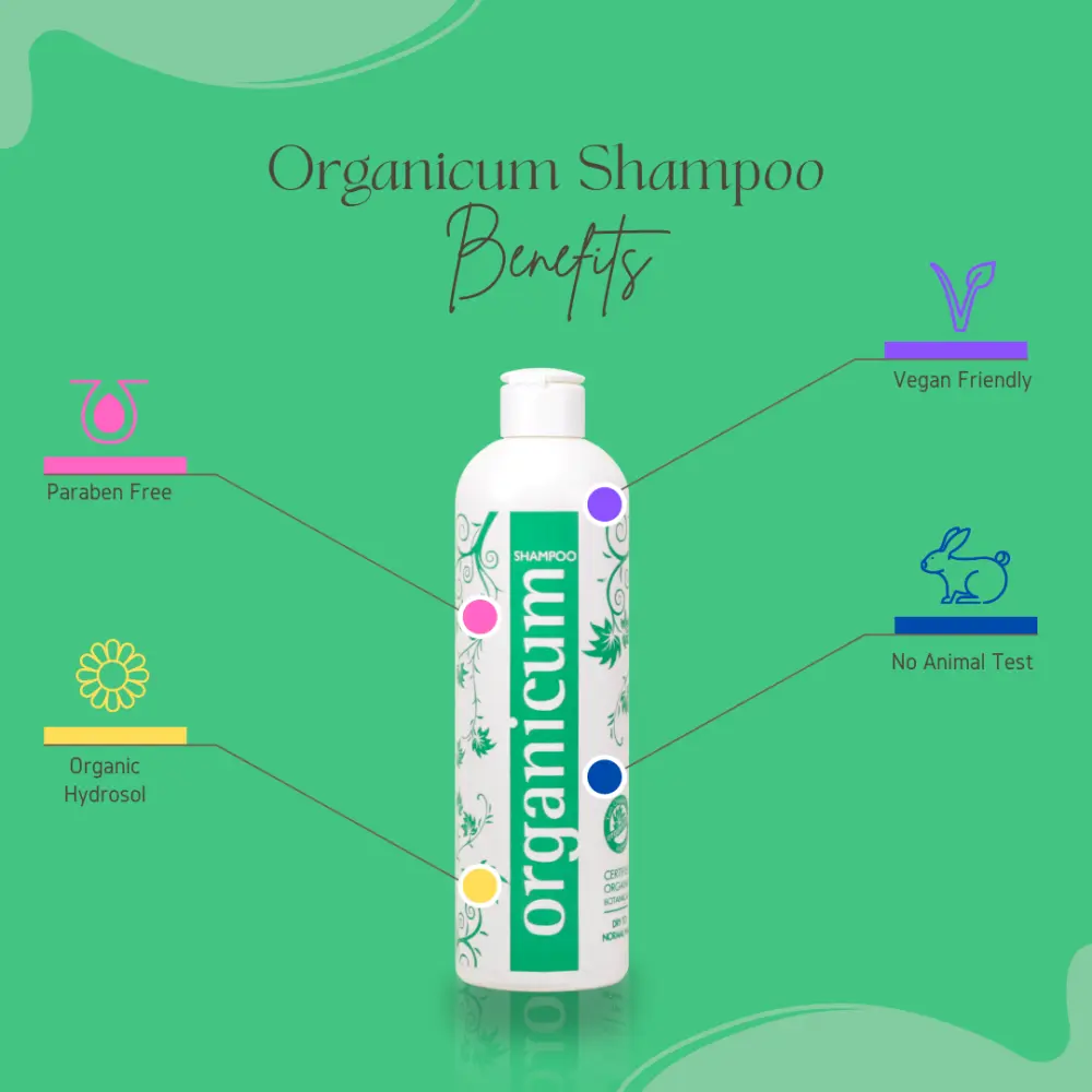 organicum Shampoo normal bis trockenes Haar Brennnessel Echter-Salbei Lorbeer 350ml — Organicum