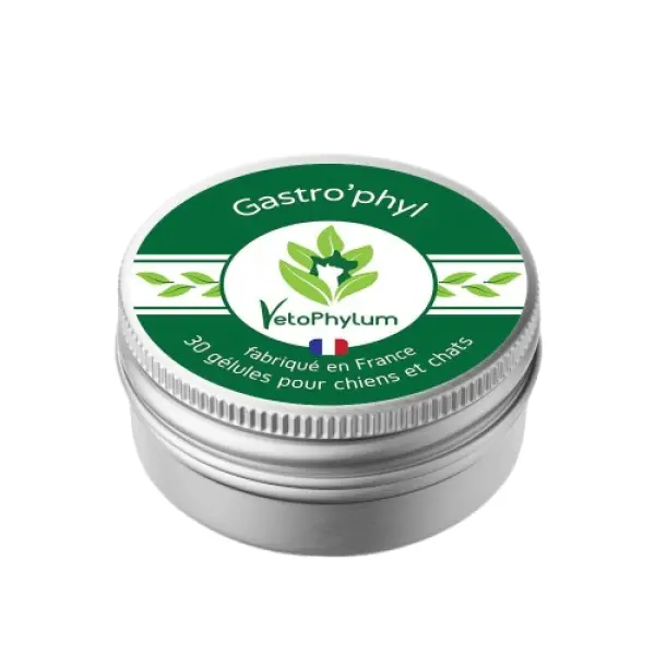 Gastro'phyl - Verdauungssystem