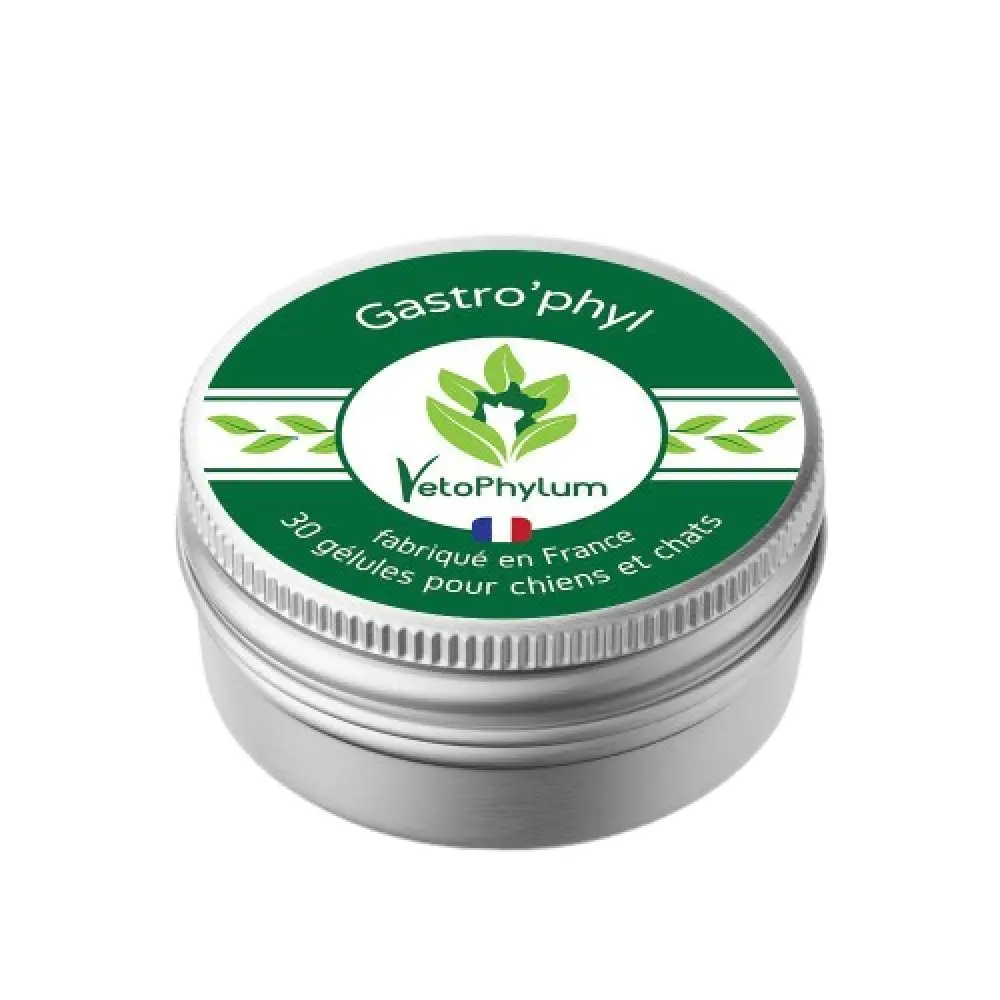 Gastro'phyl - Verdauungssystem — Vetophylum