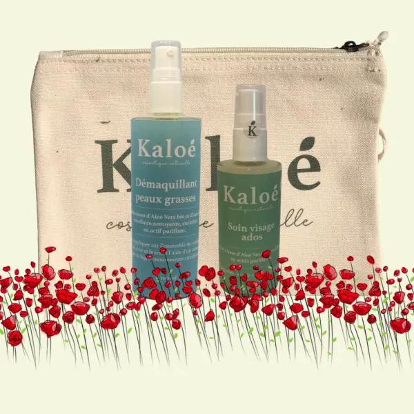 Routine visage 2 produits ados - Soin visage ados 50 ml + Démaquillant peaux grasses 100 ml + Trousse S