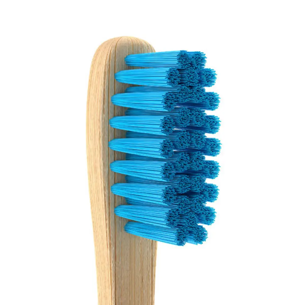 Brosse à Dents Kids en Bambou – Bleu — Don Dandrea Deutschland