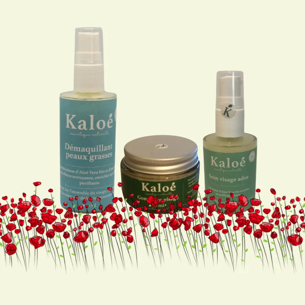 Routine visage 3 produits ados - Soin visage ados 30 ml + Démaquillant peaux grasses 50 ml + Gommage visage 50 ml — Kaloé