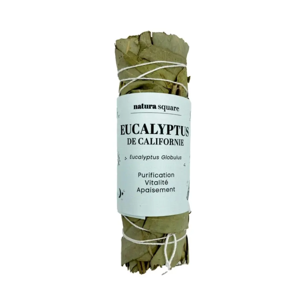 Eucalyptus de Californie — BioDiff