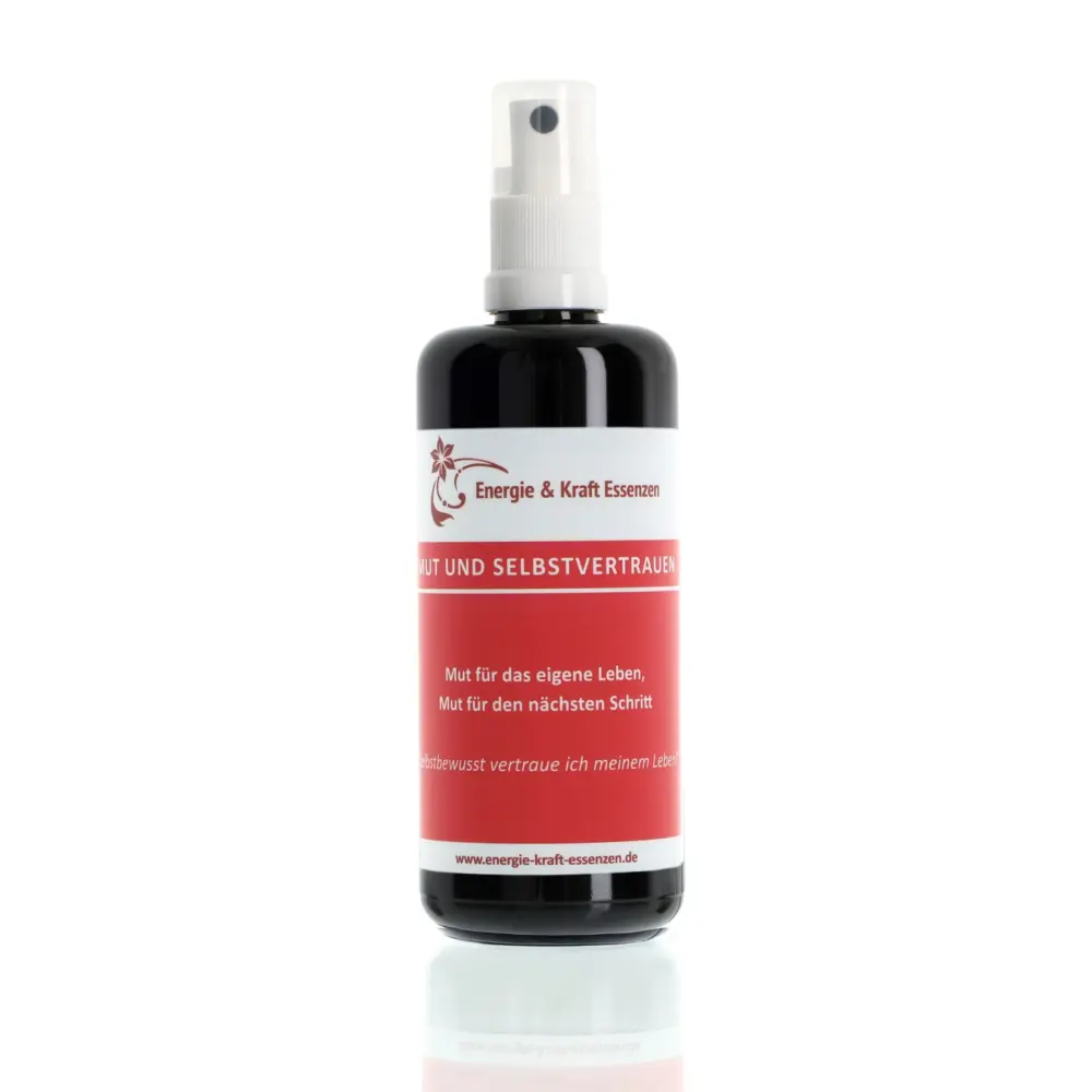 MUT UND SELBSTVERTRAUEN E&K Essenzenspray, 100 ml — Energie & Kraft Essenzen