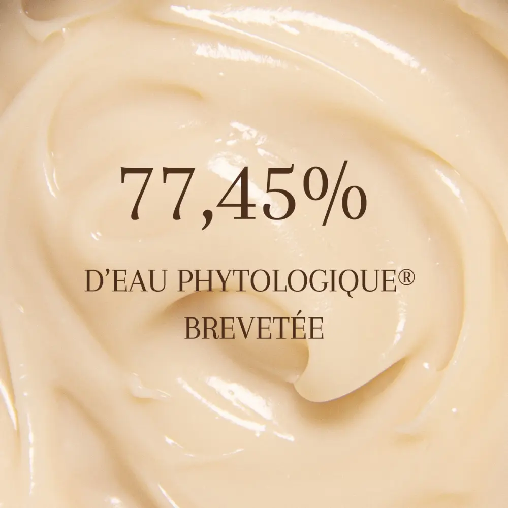 Crème Hydratante Visage — Silva Mundi