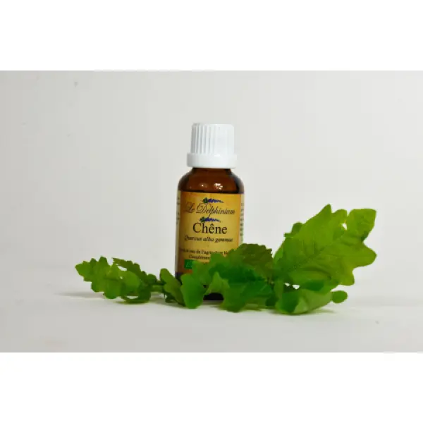 Bourgeon de Chêne Bio