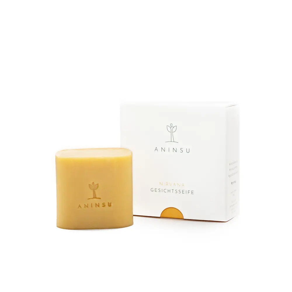 Nirvana - Savon Visage — Aninsu