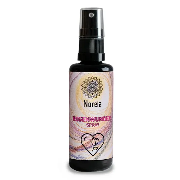 Spray Merveille de Rose Noreia