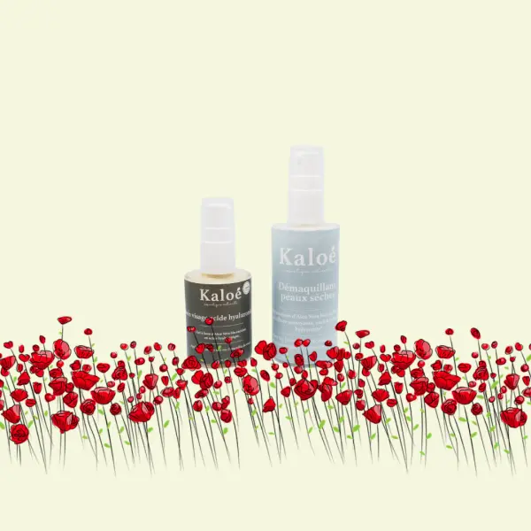 Routine visage 2 produits acide hyaluronique - Soin visage acide hyaluronique 30 ml + Démaquillant peaux sèches 50 ml