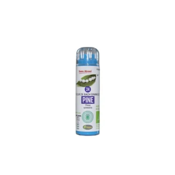 Fleur de Bach Pine (Pin sylvestre) 0% Alcool