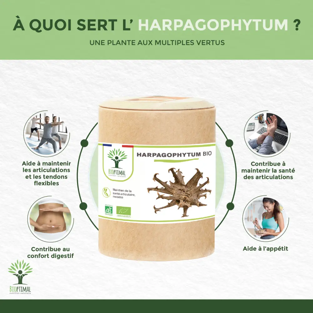 Harpagophytum Bio - 200 — BIOPTIMAL
