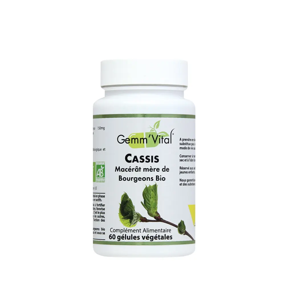 Schwarze Johannisbeere Knospe Bio — VIT'ALL+