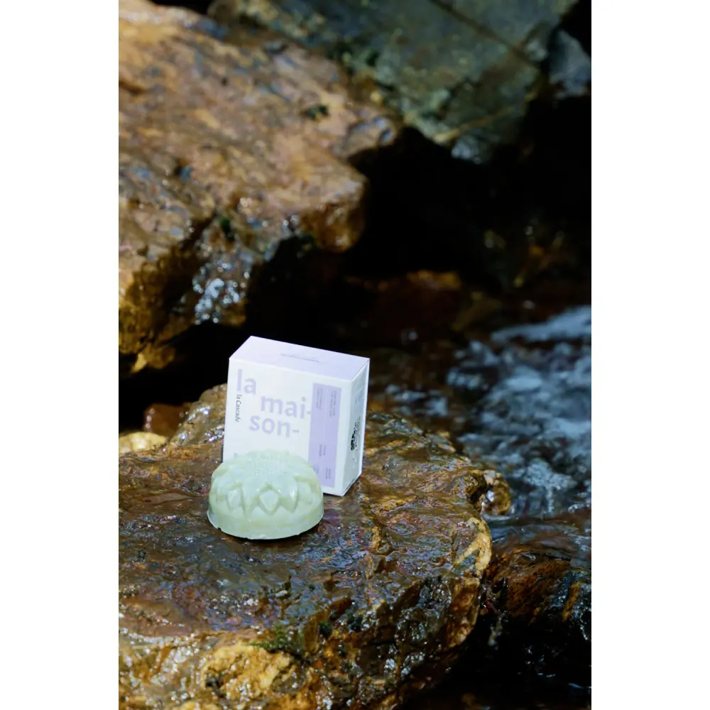 La Cascade - Shampoing solide bio pour cheveux gras — La Maisonnette