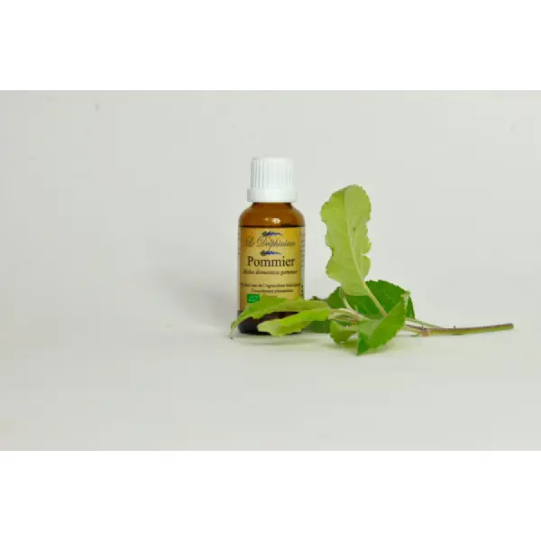 Bourgeon de Pommier Bio