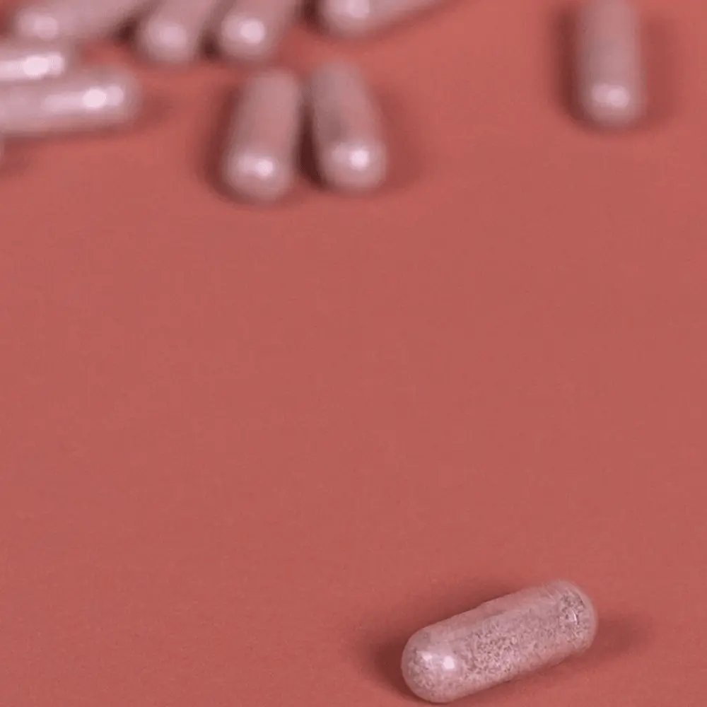 [MY] Essentiels Flore Intime & Intestinale — MiYé
